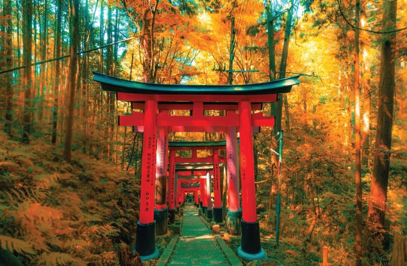 Always-the-firststep-2-3