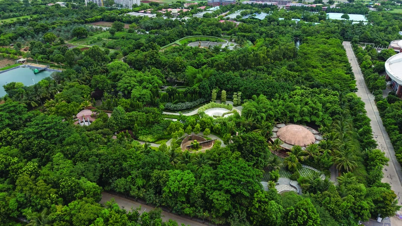 DJI_20260629085951_0168_D.webp