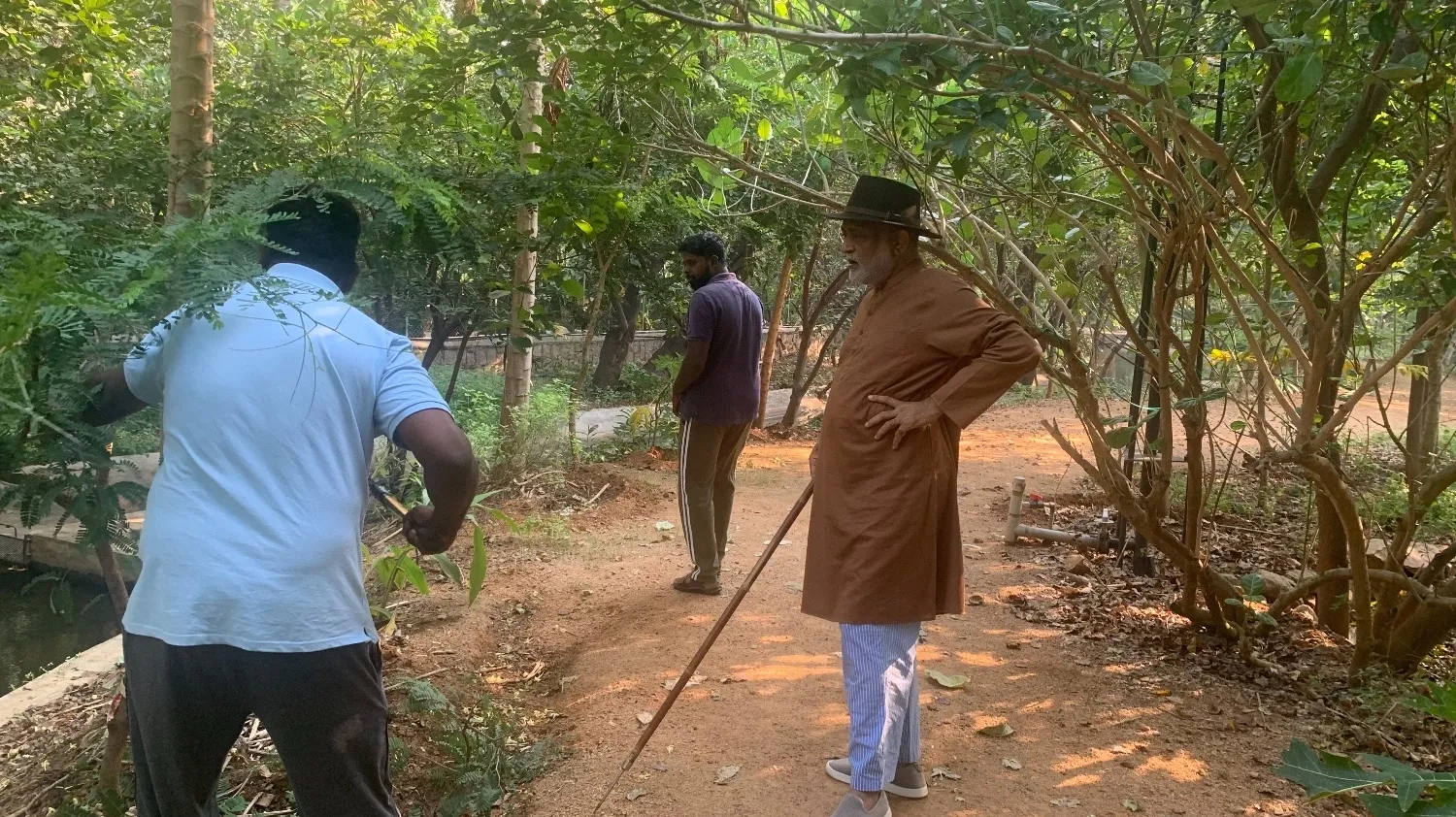 Daaji-leaves-inspection