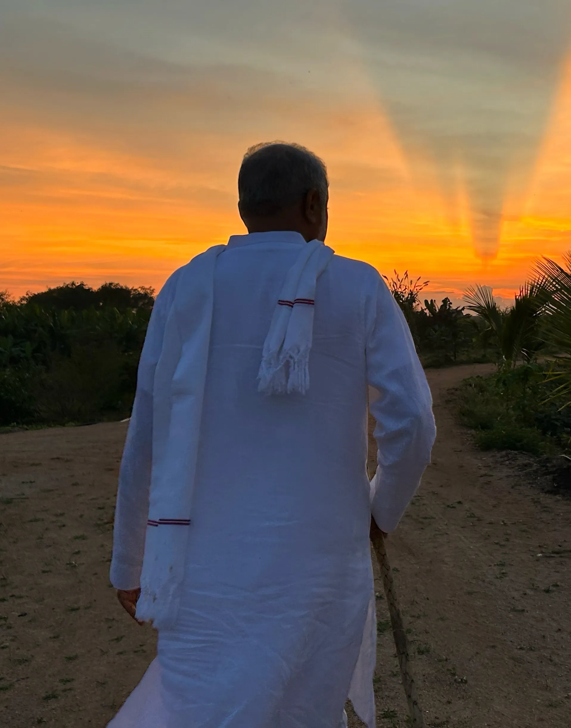 Evening walk