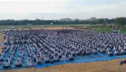 NCC_hyd2_img