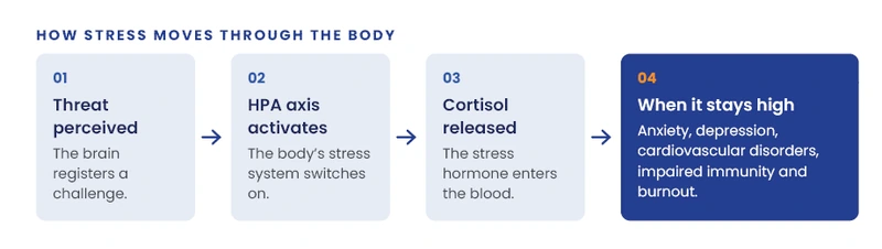 biochemistry-wellbeing3.webp