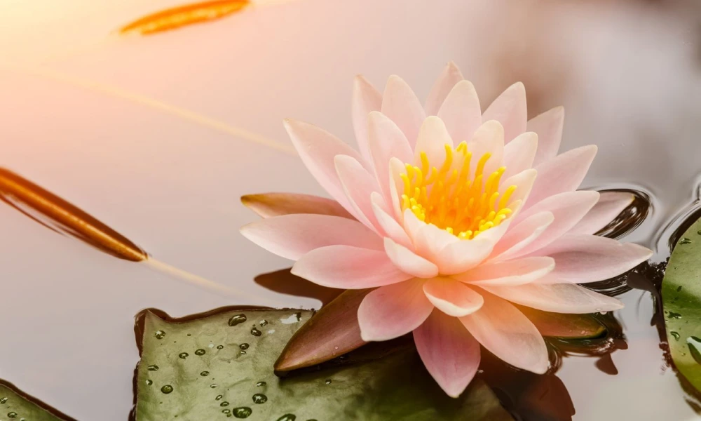 The Intrinsic Goodness of the Heart