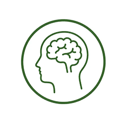 inspiration-evidence-icon1.webp
