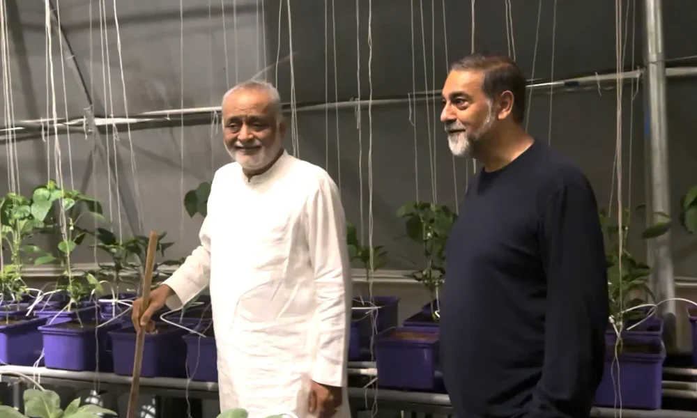 Kanha Shantivanam 31st October 2023