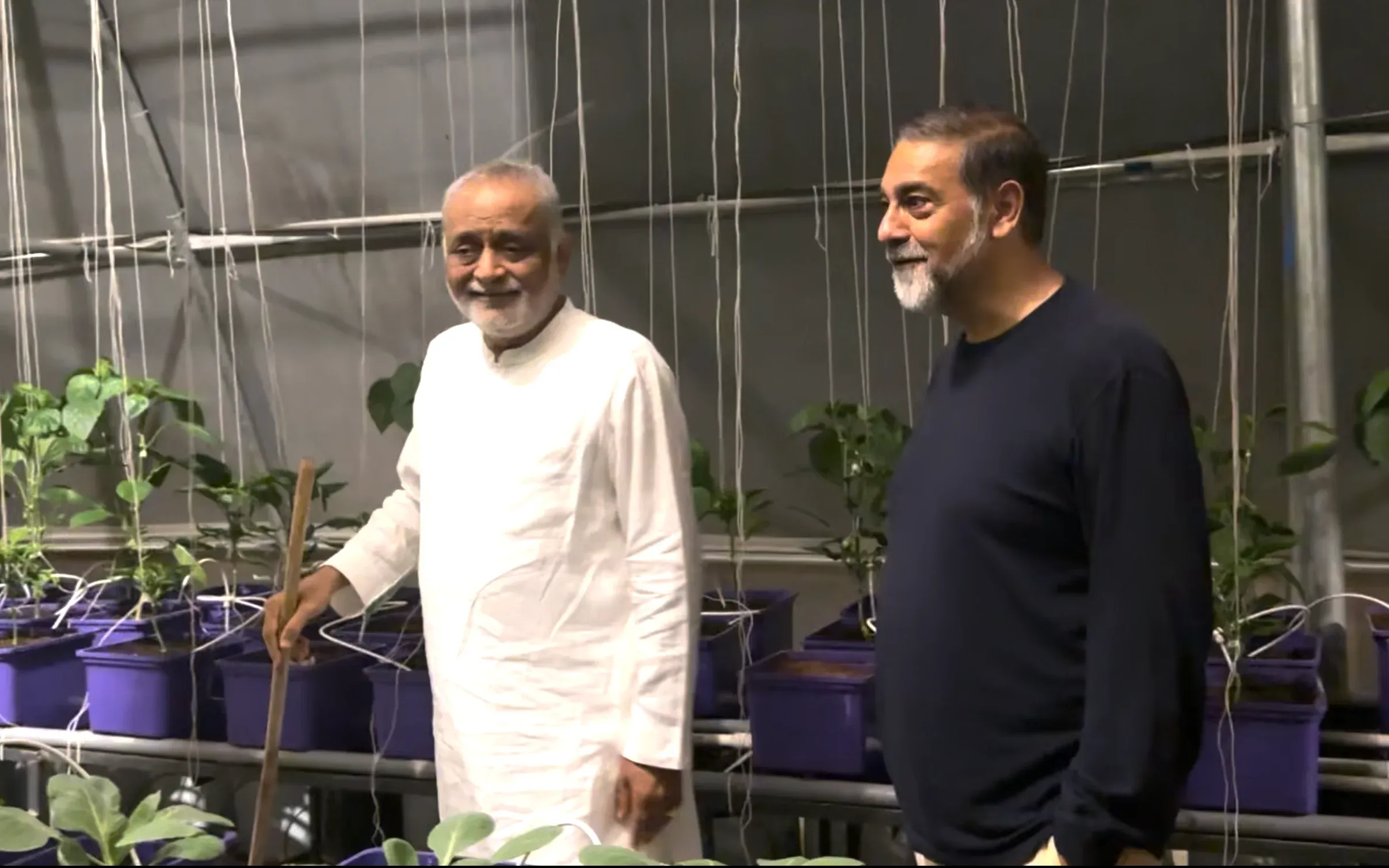 kanha-shantivanam-31stoctober23-walk-1