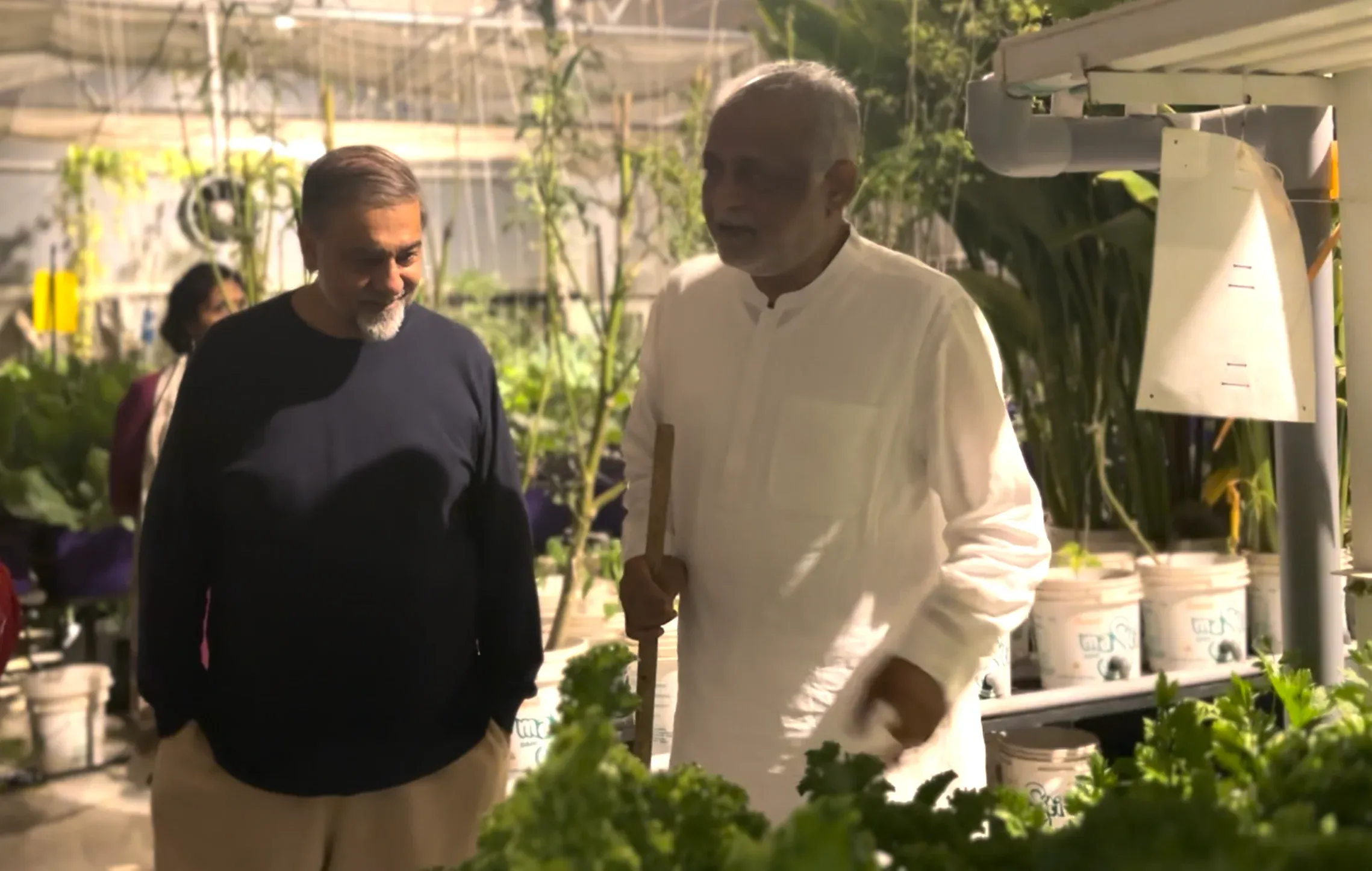 kanha-shantivanam-31stoctober23-walk-3