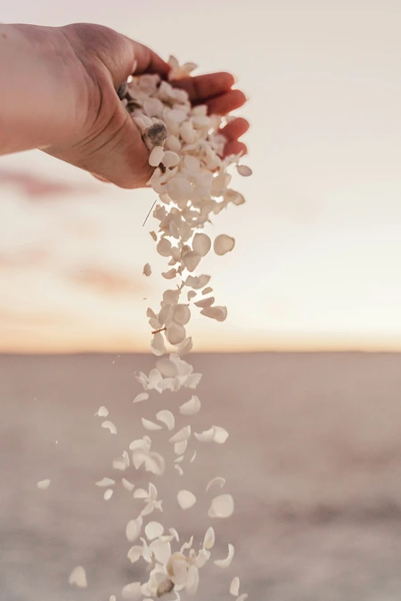 michelle-mcewen-wl94E5VLB5o-unsplash.webp