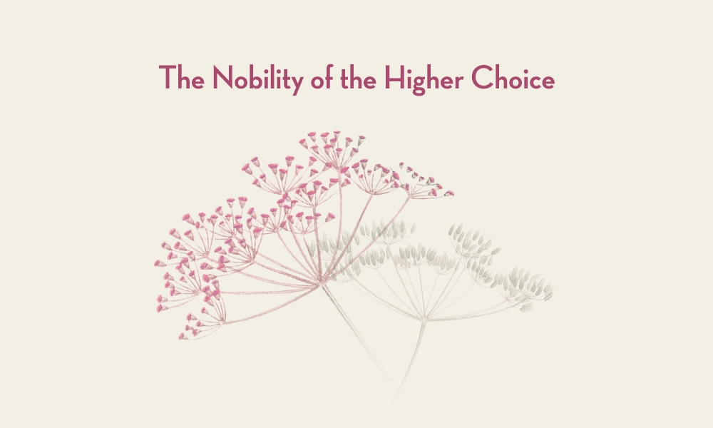 The Nobility of the Higher Choice