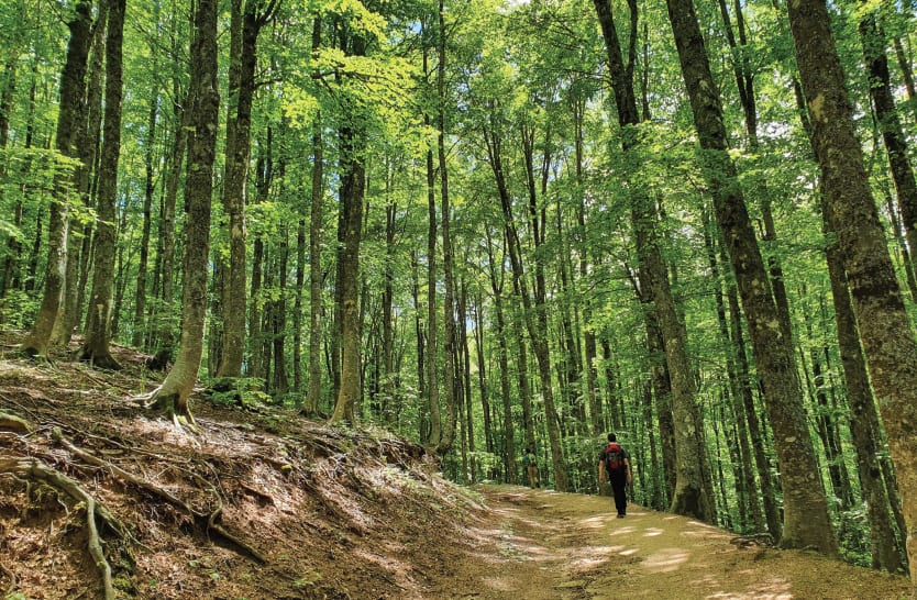 our-bond-with-Tress3