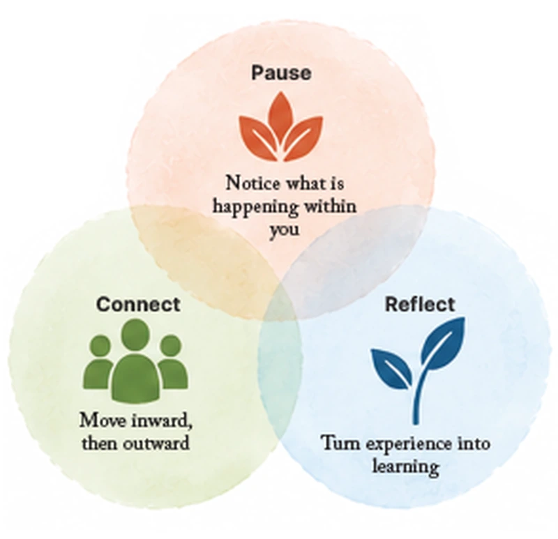 pause-connect-reflect-infogrpahic.webp