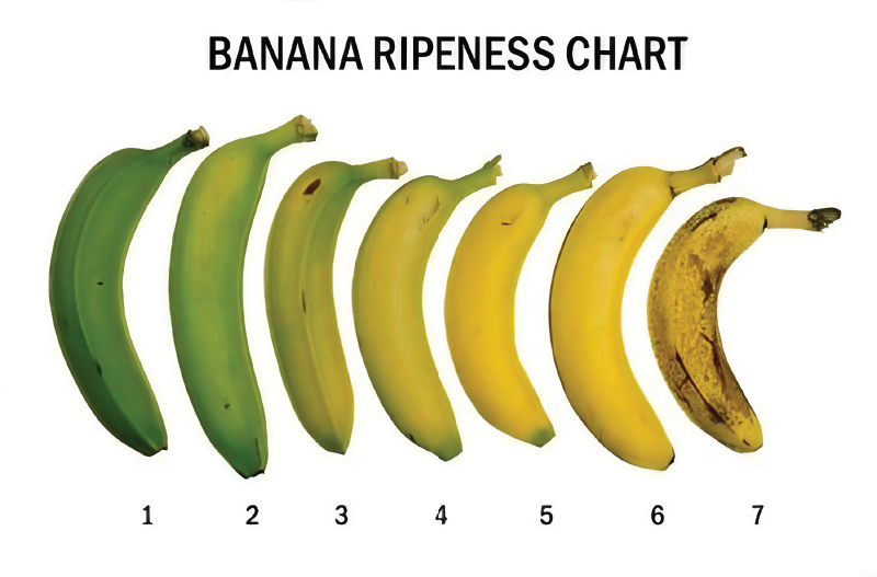peel-eat-repeat-bananna3.webp