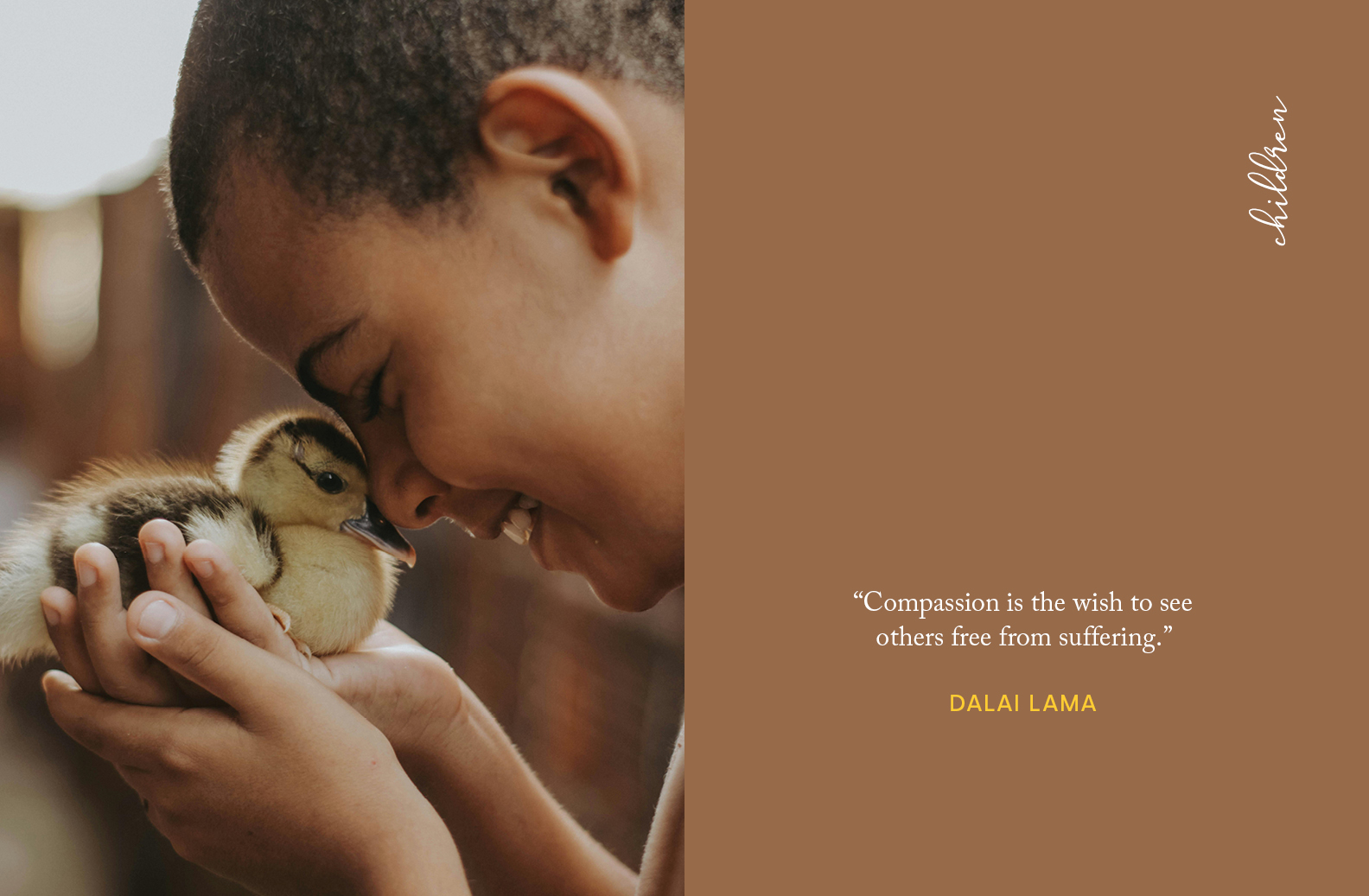 The Meaning of Compassion