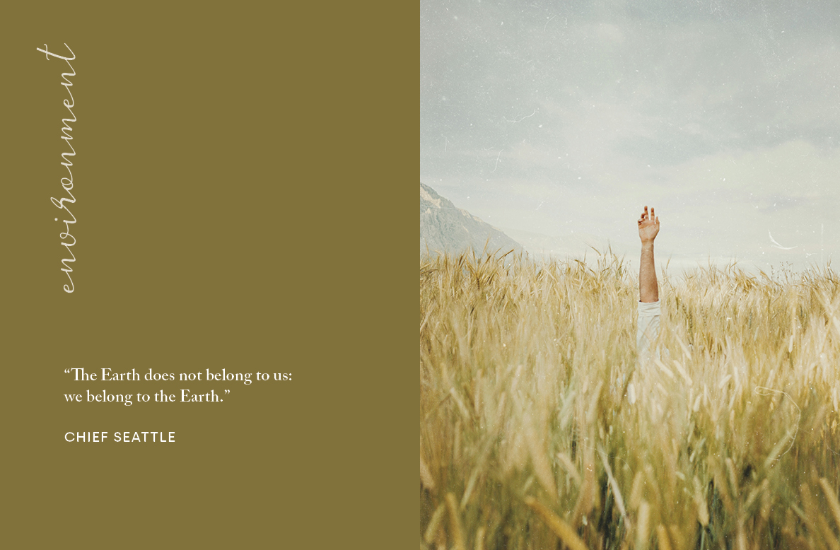 We Belong to the Earth