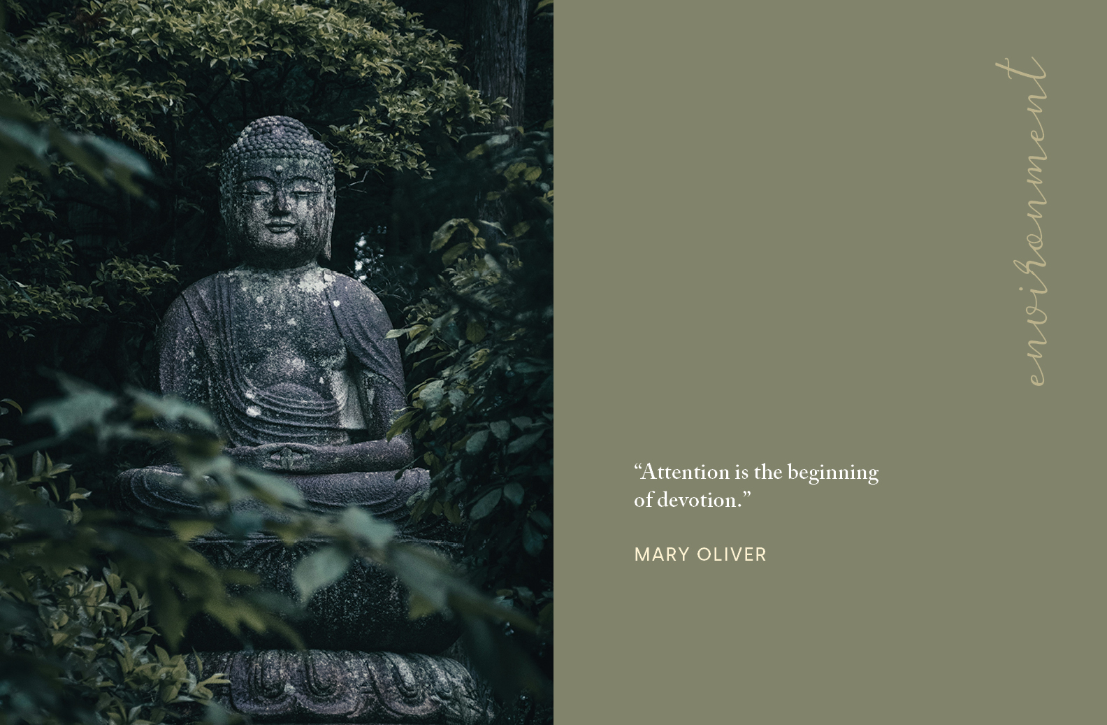 Attention Is Devotion