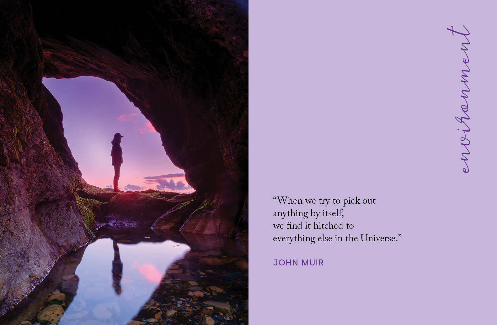 The Whole and Its Part