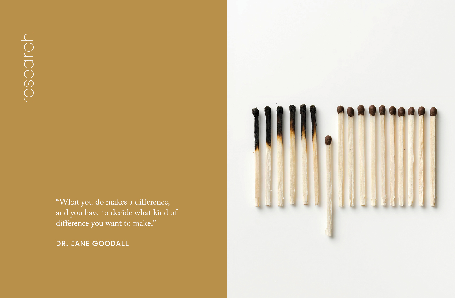 What Kind of Difference?